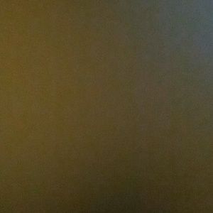 Meet your Posher, Pheobe